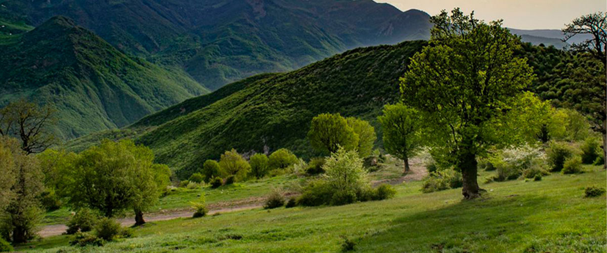 جاهای دیدنی شاهرود