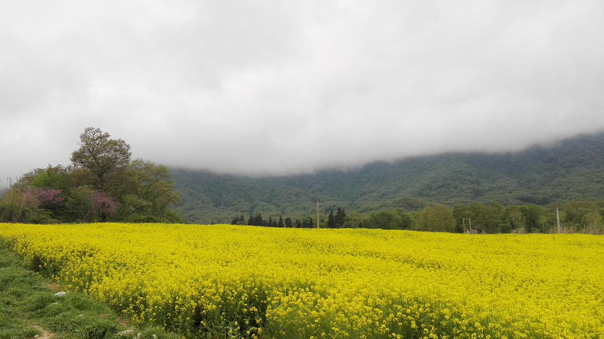 طبیعت رامیان
