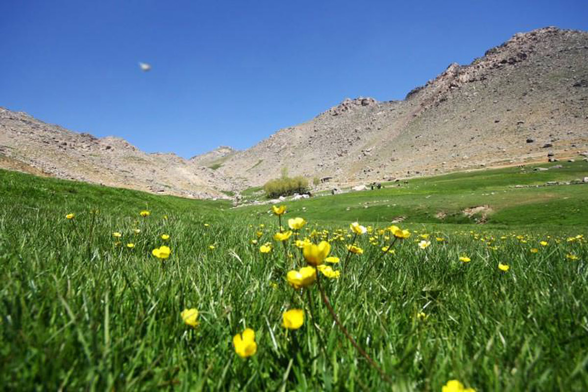 دشت میشان