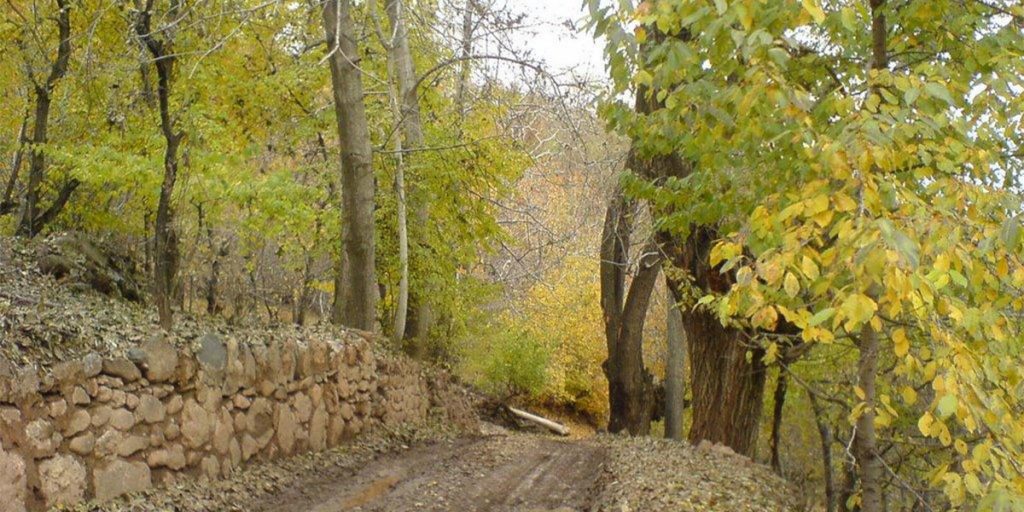 روستای افجه دشت هویج کجاست