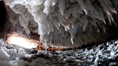 Photo of غار نمکدان قشم کجاست و چه تاریخچه‌ای در پس خود دارد؟