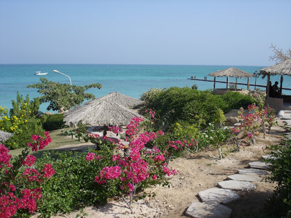 ساحل مرجان کیش
