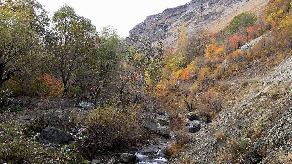 روستای آهار