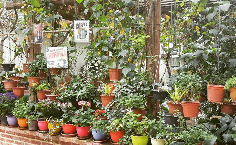 بهترین کافه های حیاط دار تهران