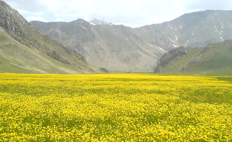 جاهای دیدنی دشت لار دماوند