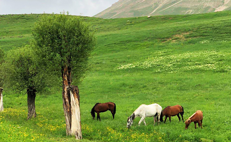 بهترین ییلاق های تهران