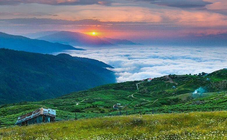 تصویر: https://www.jabama.com/mag/wp-content/uploads/2021/08/%D9%81%DB%8C%D9%84%D8%A8%D9%86%D8%AF-1.jpg تصویر: https://www.jabama.com/mag/wp-content/uploads/2021/08/%D9%81%DB%8C%D9%84%D8%A8%D9%86%D8%AF-1.jpg