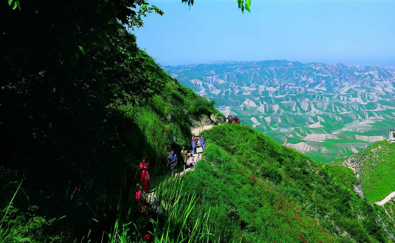 بهترین جای شمال برای سفر تابستانی