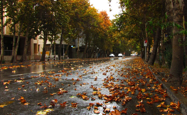 پیاده روی در خیابان ولیعصر تهران