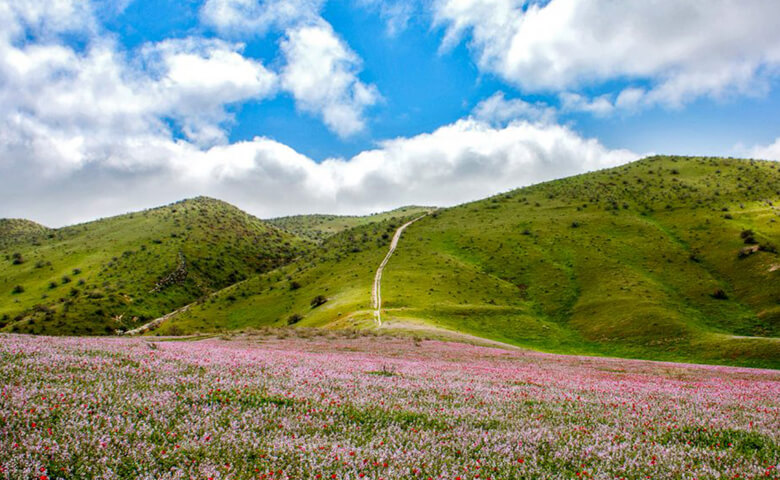 جاهای دیدنی اطراف مشهد