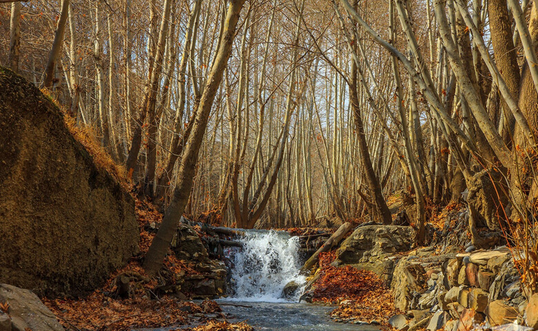 طرقبه مشهد