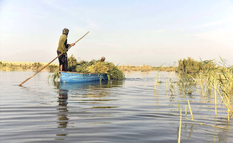 دریاچه هامون کجاست