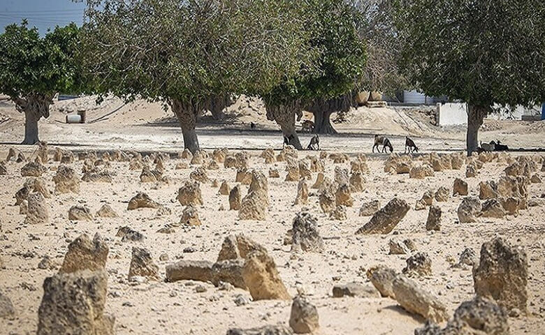 قبرستان جزیره هندورابی