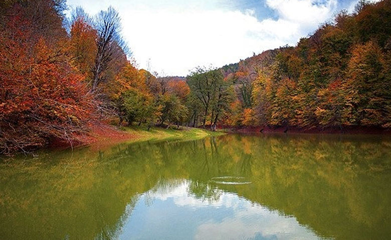 راهنمای سفر ساری