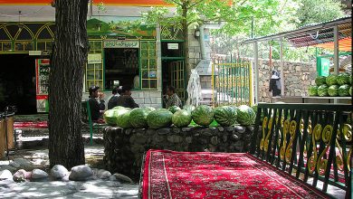 Photo of درکه تهران ؛ یک بهشت سبز در یک شهر خاکستری