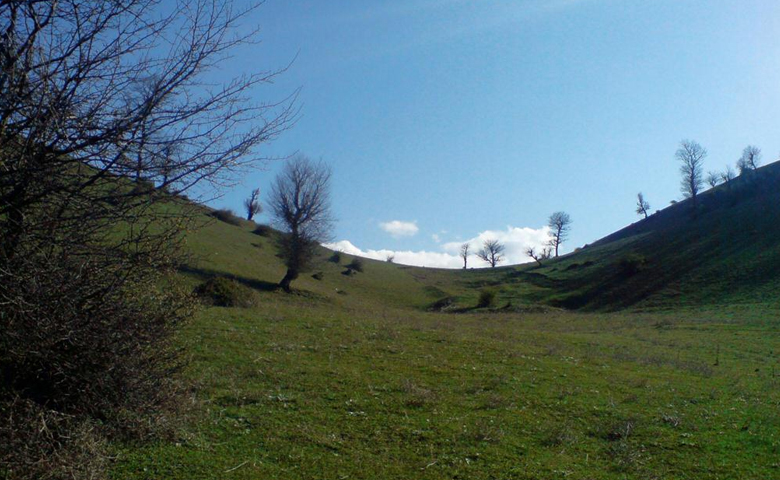 روستای حیرت نوشهر