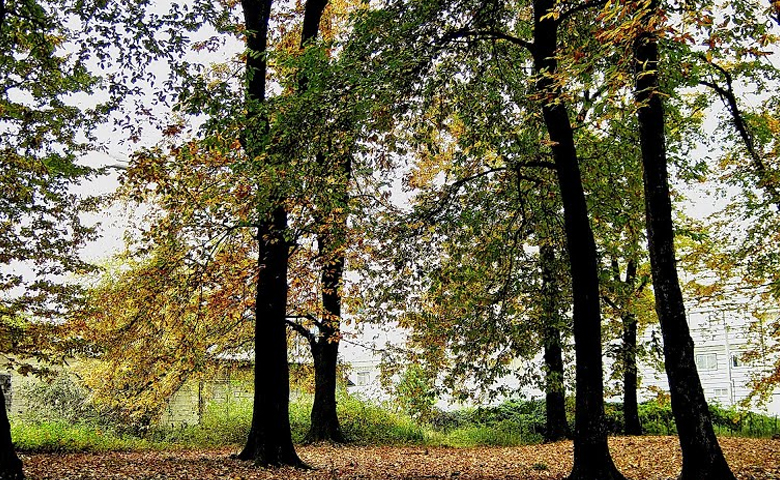 زیباترین جای لاهیجان