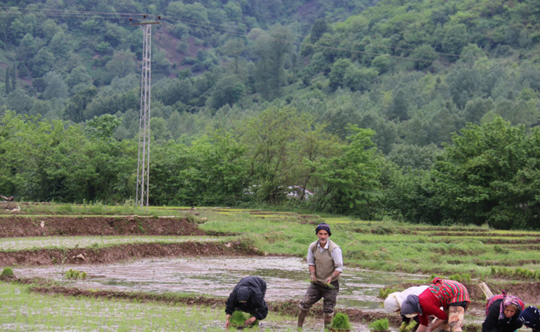 روستای رانکوه