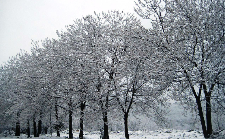 سفر به شمال در زمستان کجا بریم