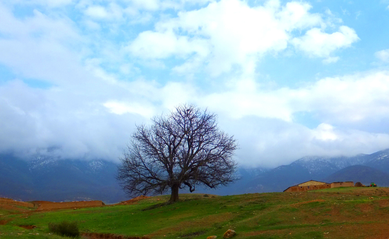 روستای سورت