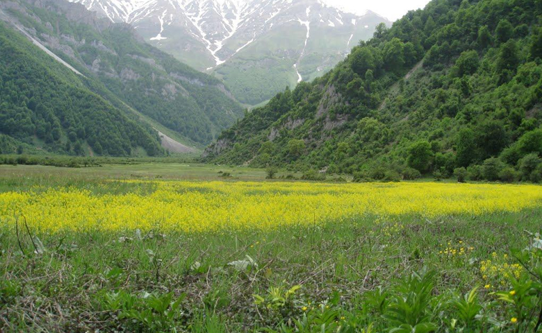 روستای دریاسر