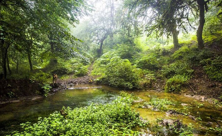 جاهای دیدنی گلستان در تابستان