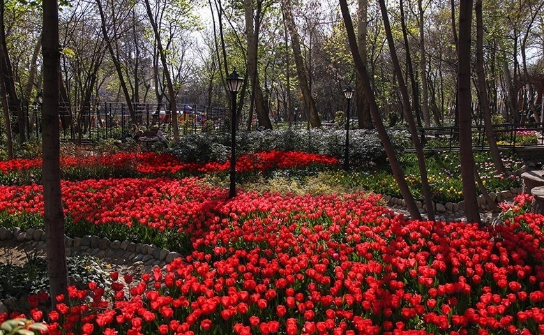 جشنواره لاله های باغ ایرانی ده ونک