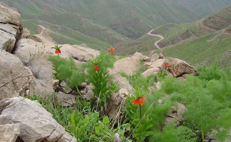 روستای رودکی