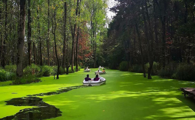 بهار جنگل سراوان