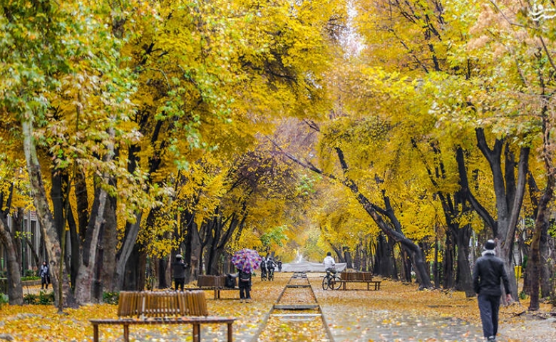 پاییز چهارباغ اصفهان