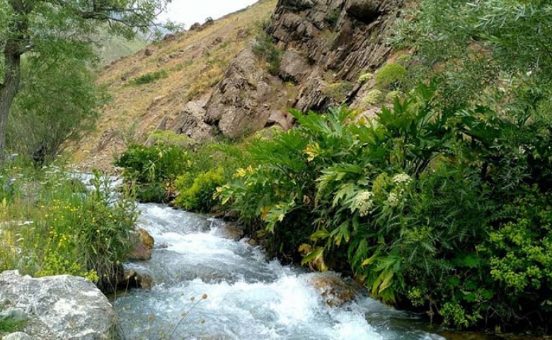 طبیعت گردی اطراف تهران در بهار