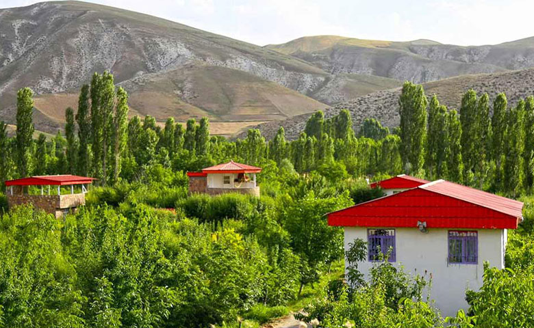 بهار کردان و رقص شکوفه‌ها