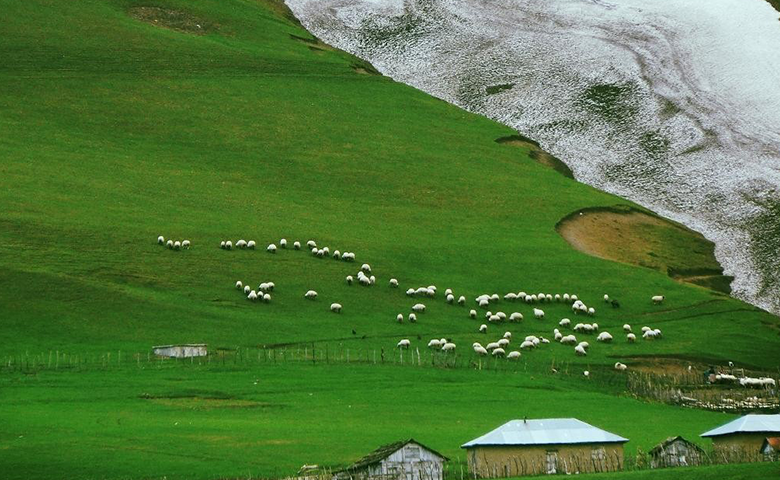 دیلمان، رؤیایی‌ترین ییلاقی که خواهید دید