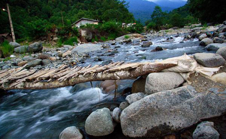 جواهردشت، نگین جنگلهای هیرکانی